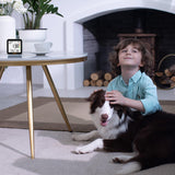 Temtop M10+ Smart Indoor Air Quality Monitor for CO2, AQI, PM2.5, VOC Temperature & Humidity with App