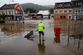 Mold: Your Worst Enemy After a Flood