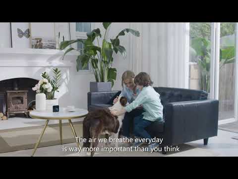 Temtop M10 Air Quality Monitor, Air Quality Detector for PM2.5 HCHO TVOC AQI with Real Time Display, Rechargeable Battery